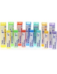 Ledum Palustre MK Globuli Tubo